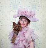 hepburn49.jpg